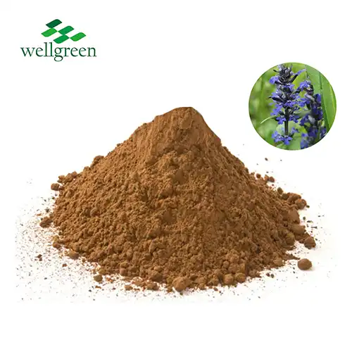 Ajuga Turkestanica Extract Powder